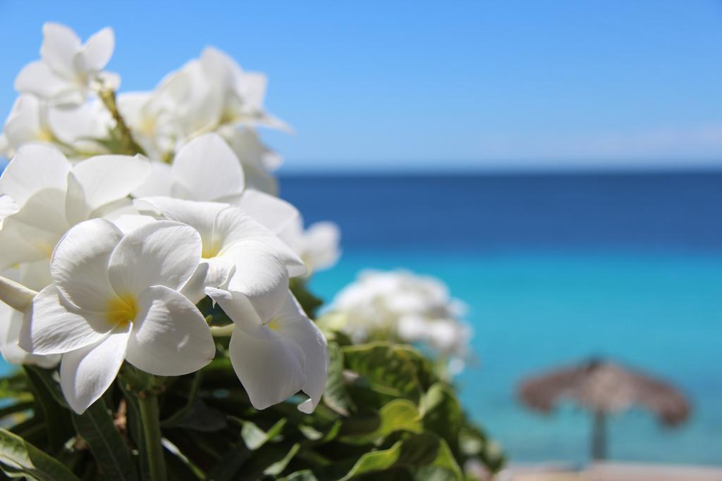 Bonaire Apartment Playa Kültér fotó